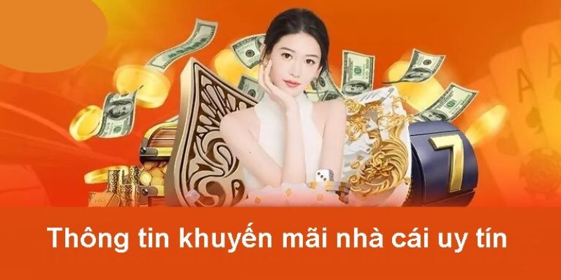 Thông tin ưu đãi cho thành viên VIP